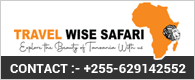 Wise Safari Tanzania Ltd travel agent – tour packages and travel services