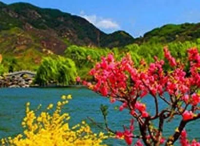 Paradise Kashmir Tour