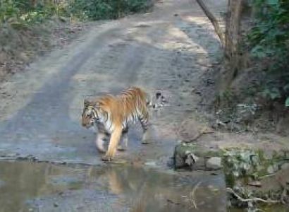 Corbett Tour Tour Package Corbett, Days