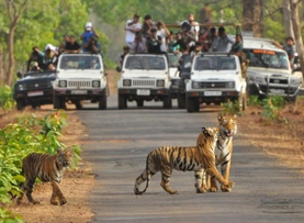 Kanha National Park tourist attraction in Mandla